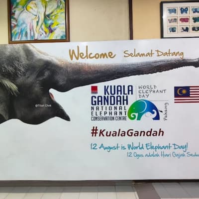 Kuala Gandah Elephant Sanctuary